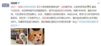 铲屎官们看过来，教你用一台浴霸哄主子开心
