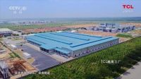 TCL：全球化路上的领航者