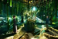 草月流第三代传人最新力作将亮相腾象家居艺术家