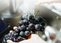 保食安新品HOSHOM禾莯食物净化机上市 掌握食物净化技术