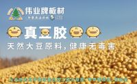 伟业牌大豆胶板材：大豆胶知多少？