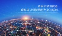 紧跟年轻消费者，顾家猫以创新拥抱产业互联网