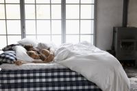 健康睡眠新定义，海丝腾引领新十年健康居家风潮