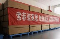 持续行动丨索菲亚再捐100万物资助力湖北黄冈抗击疫情！