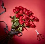 Roca x roseonly 跨界联手演绎云端浪漫