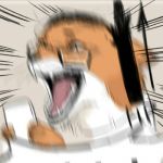 宅家抢好物丨升达银离子抗菌地板，爆灯强推！谁买谁赚！