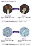 留住营养才叫新鲜！卡萨帝冰箱：控氧保鲜7天营养不流失