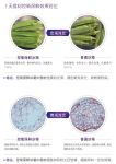 高端冰箱断崖式下跌 卡萨帝:7天营养不流失,份额占7成