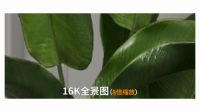 酷家乐32K全景图全球首发 激起行业设计标准巨变