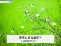 春天过敏很难受？如何解决呢？