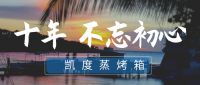 凯度电器：十年初心不改，用专业深耕蒸烤一体机领域