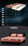 北京中佰康：健康寝具是高质量生活的必需品