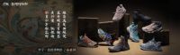 新消费品牌的维新运动：李宁与林氏木业的突围之路