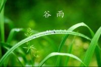 在满眼春色里，「谷雨时节」你更需要TA