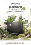 这个人间四月天，最不能错过的小确幸是这一盒