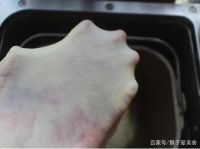 料理机可以做什么 让SCHNEIDER（施耐德）告诉你答案