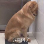设计