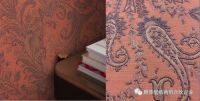2020年新品发布 ▏ETRO 艾绰 II