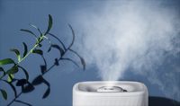 SoleusAir舒乐氏：冬季天气干燥，如何正确地选择加湿器？
