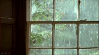 梅雨季，来了，您家的地板准备好了吗？