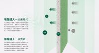 健康卫士，甲醛克星：兔宝宝360°除醛纸面石膏板
