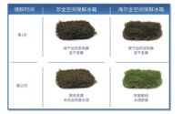 给食材"敷面膜"!布局场景海尔冰箱以41.9%份额持续领跑