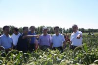 “山西小米”基地现场观摩暨第三届品牌标识授权仪式成功举办