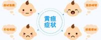 新生儿黄疸吃什么药 婴儿黄疸母亲忌口什么
