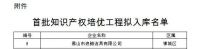 知产赋能 浪鲸上榜佛山“首批知识产权培优工程拟入库名单”