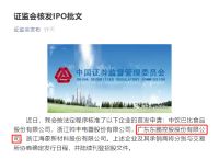 东鹏二次上市成功？IPO首发申请通过