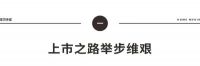 东鹏上市，资本化是陶卫企业最后的挣扎