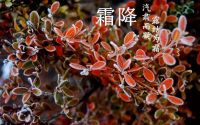 喜牧龙提醒您 霜降至 乍初冷 门窗保养需行动