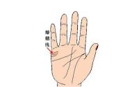 婚姻线很长代表什么  婚姻线穿过成功线代表什么