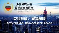 大型真香现场| 买洗碗机的人100%都后悔了！