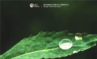 理想卫浴：助力谱写生态环境保护事业新篇章