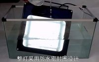 直播探访蚂蚁军团家装灯饰生产线，看它们如何获取CCTV7认可