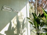 艺术赞美生活，三棵树Lounge惊艳西岸博览会