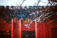 米兰之窗暖冬震撼来袭 联手KD定制家居,给家人一份温暖礼物!