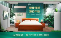 中胶“助眠神器”市场热销有道理