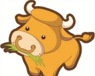 两个1997属牛结婚好吗 两个属牛在一起好吗