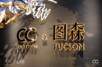 图森王维扬： 把图森打造成为国际知名国内领先的高端家居品牌