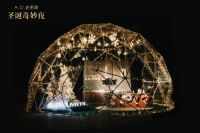 A.O.史密斯圣诞快闪Show “零感厨房”魔法水晶球空降南京