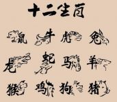 十二生肖婚配相生相克 属虎的和什么属相相克