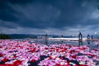 红星美凯龙入驻四川攀枝花，建设高端城市综合体