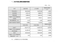 顶固集创:2020年度净利降68.83%至2427.95万元