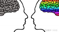 睡眠是为了让大脑休息，如果我们没有大脑呢？