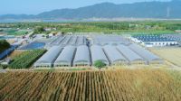 中国联塑多元蓄力赋能农业振兴，夯实“一号文件”落地基础
