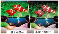 2021年如何选购电视？牢记这几个要点参数，保证不出错