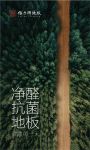 福力得——为家“净醛”力