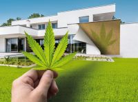 德国涂料中国走俏 看德爱威如何俘获国人心